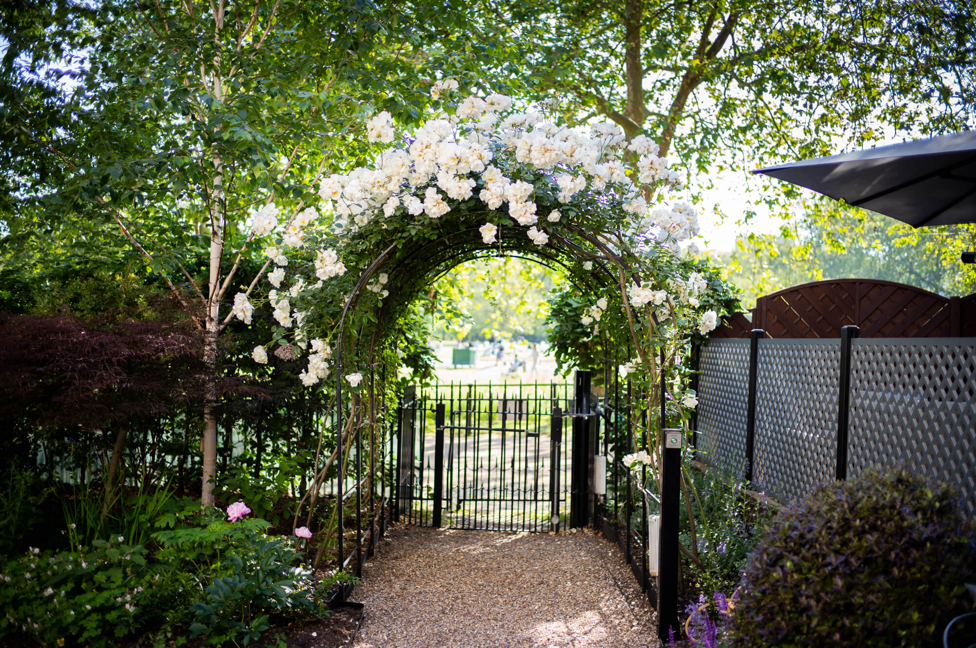 ROSL_garden_rose_arch3