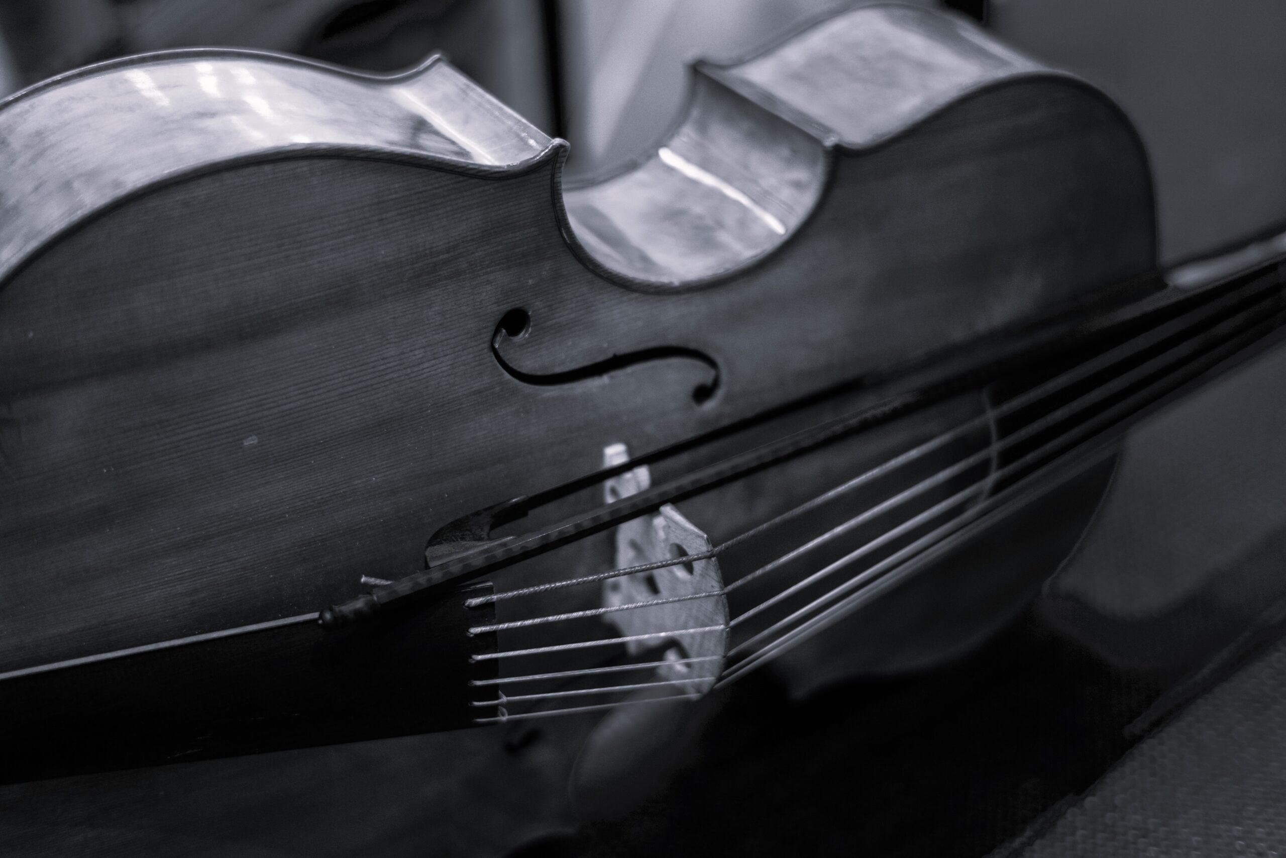 ROSL_Arts_AMC_2024 (21)bw