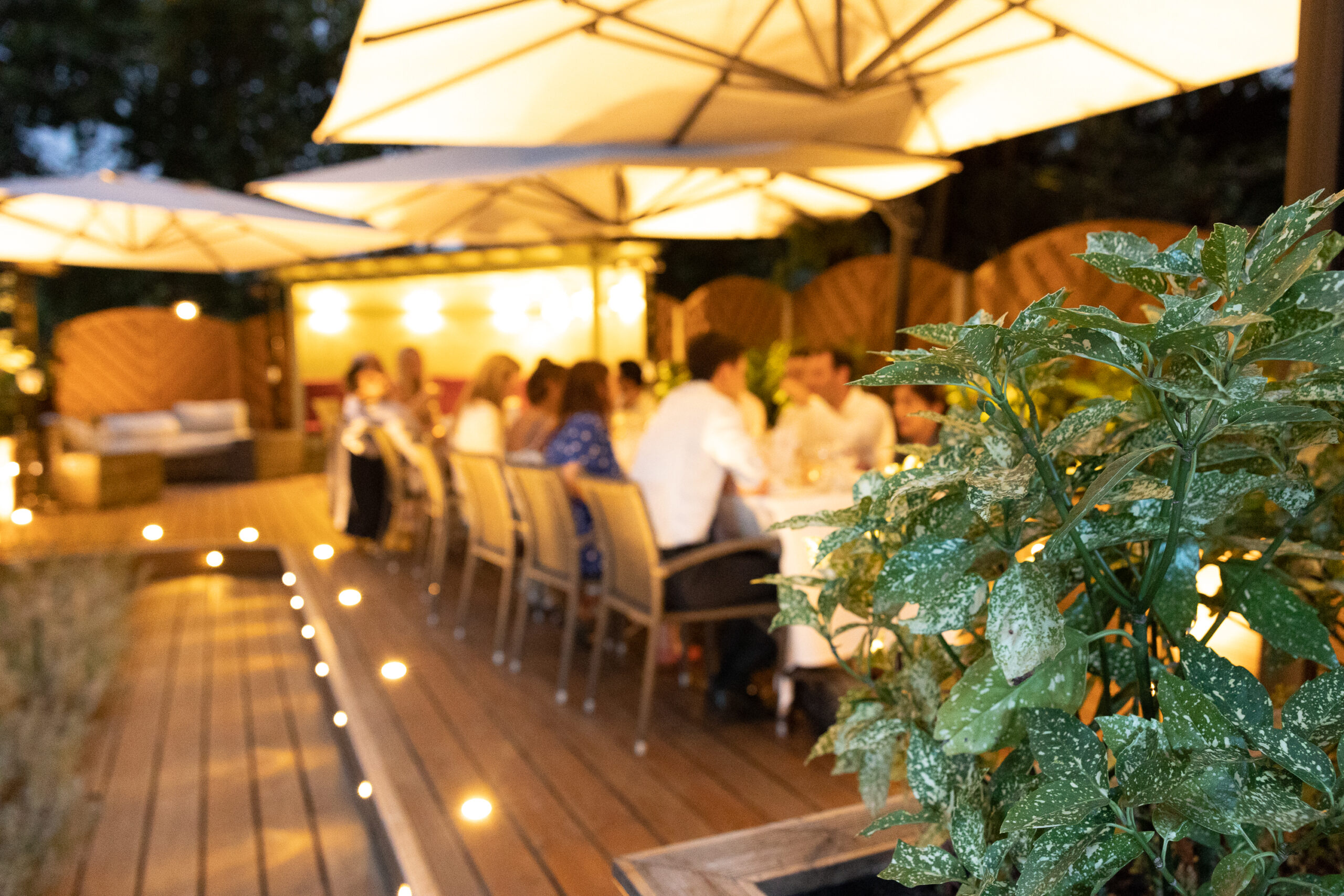 ROYAL OVERSEAS LEAGUES garden party