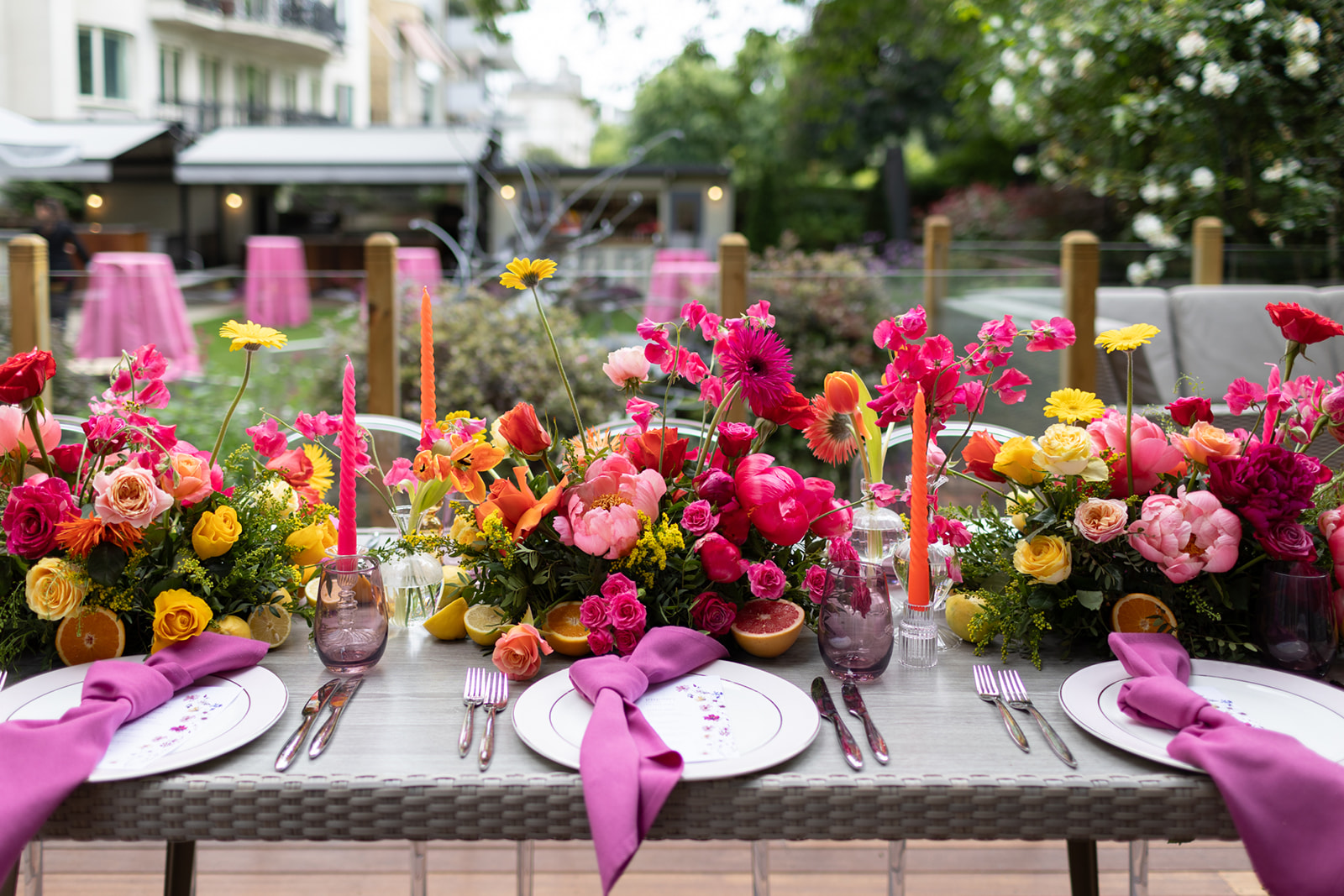 Six Park Place garden