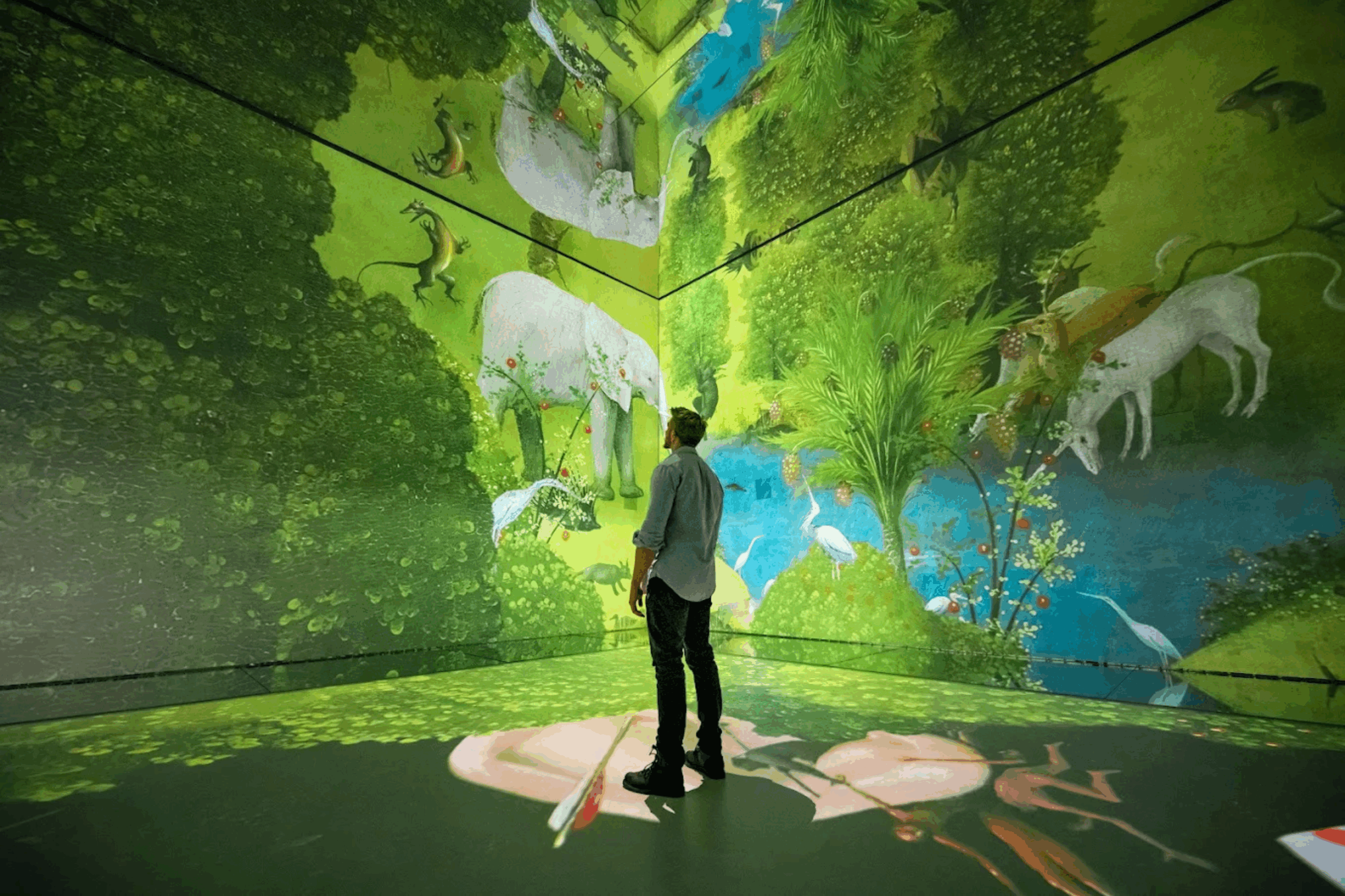 frameless-experience