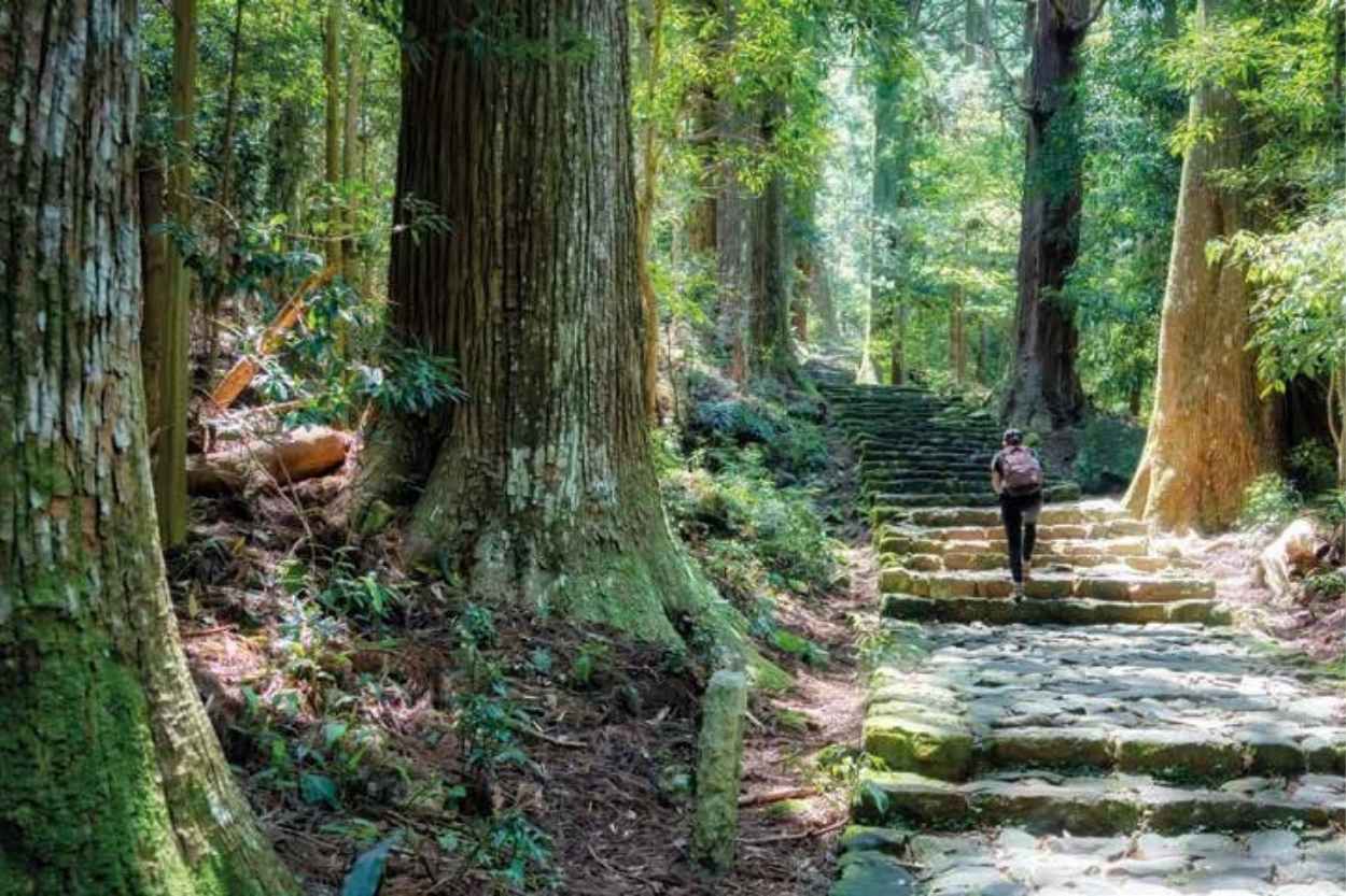 saka-pilgrim-route-japan