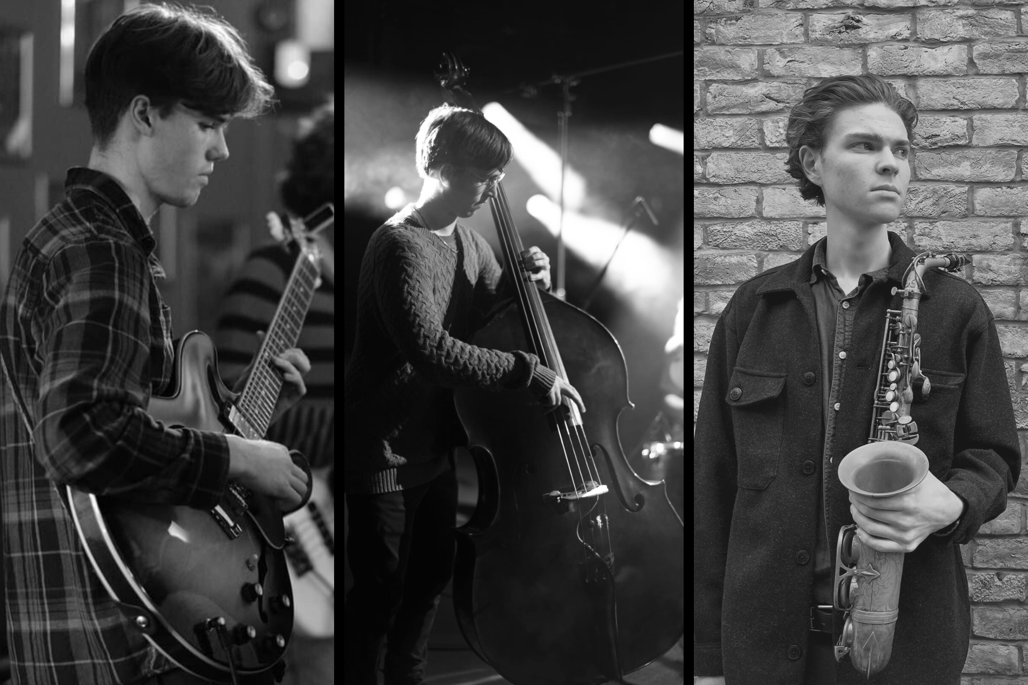 Jazz trio in concert musicians