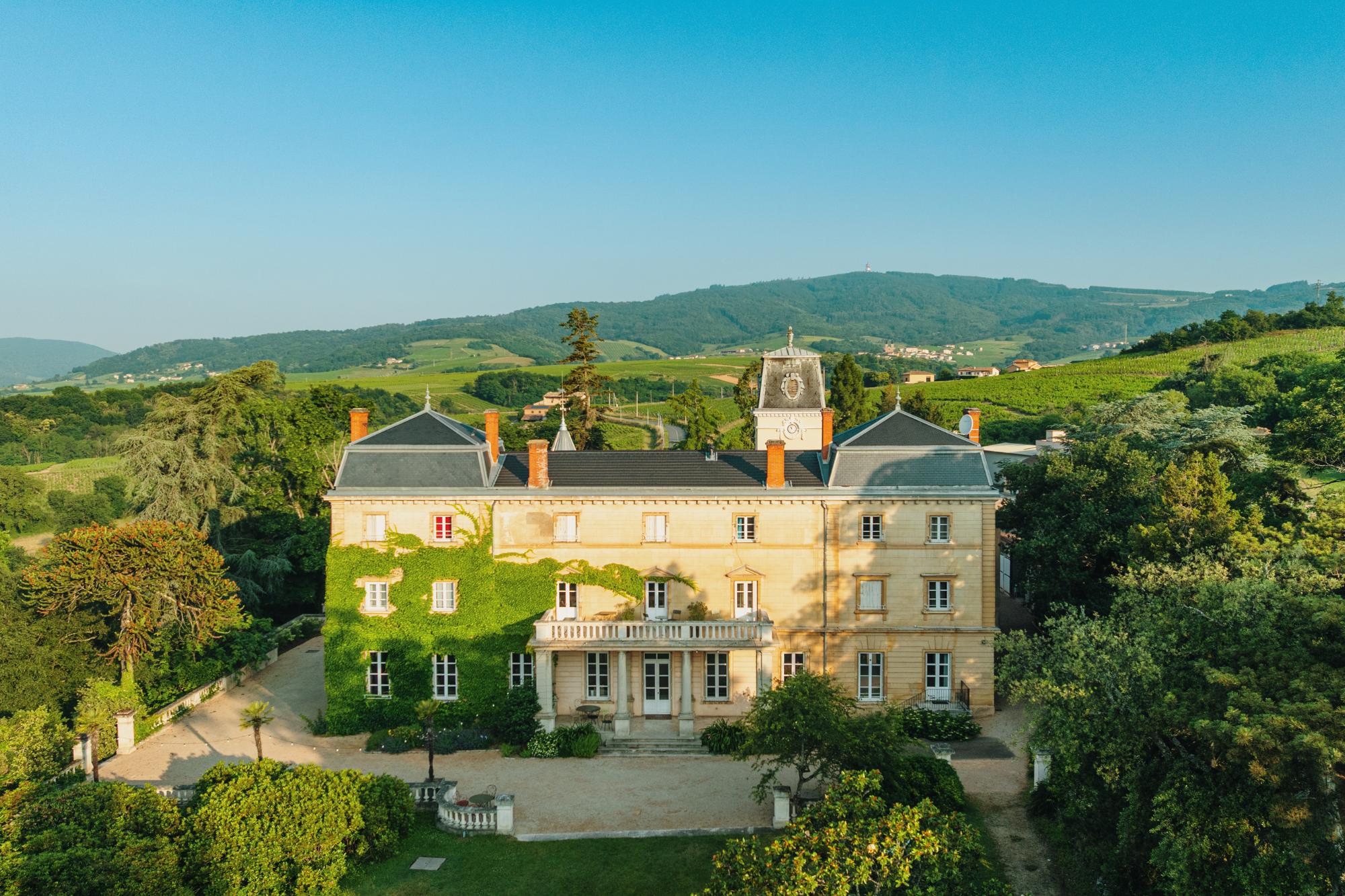chateau bellevue wine estate
