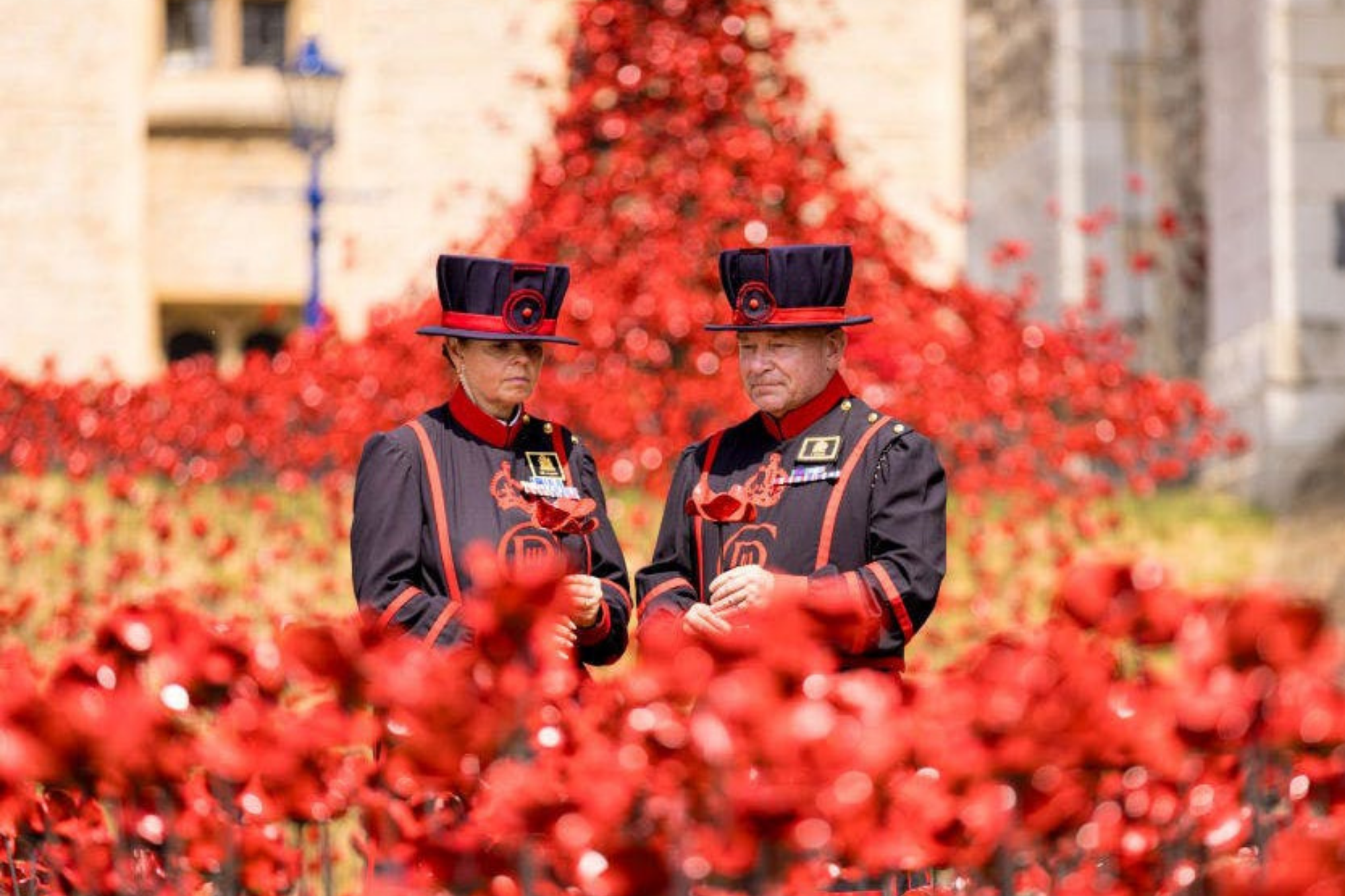 Tower of London Remembers 2025