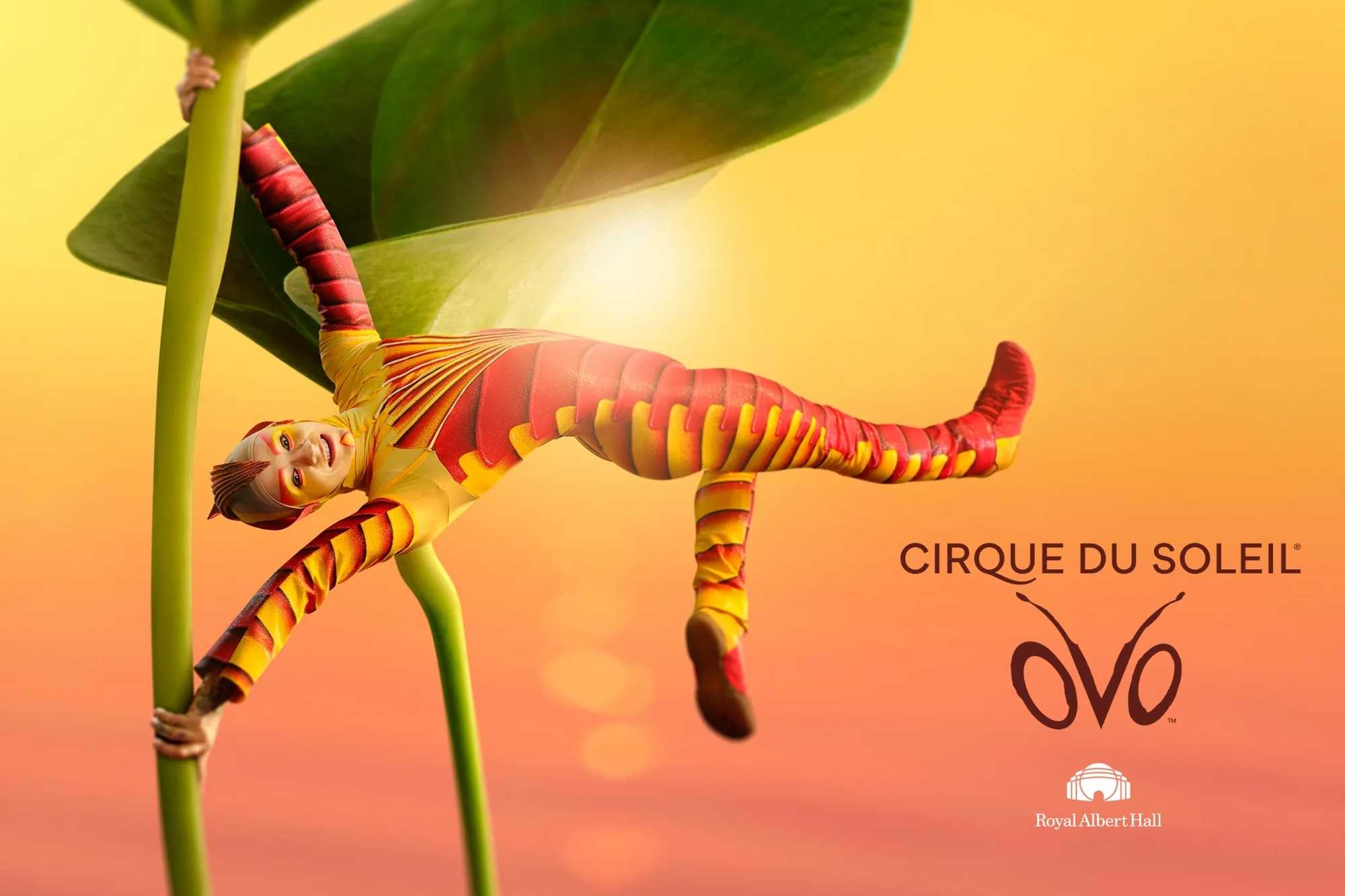 cirque-du-soleil-ovo