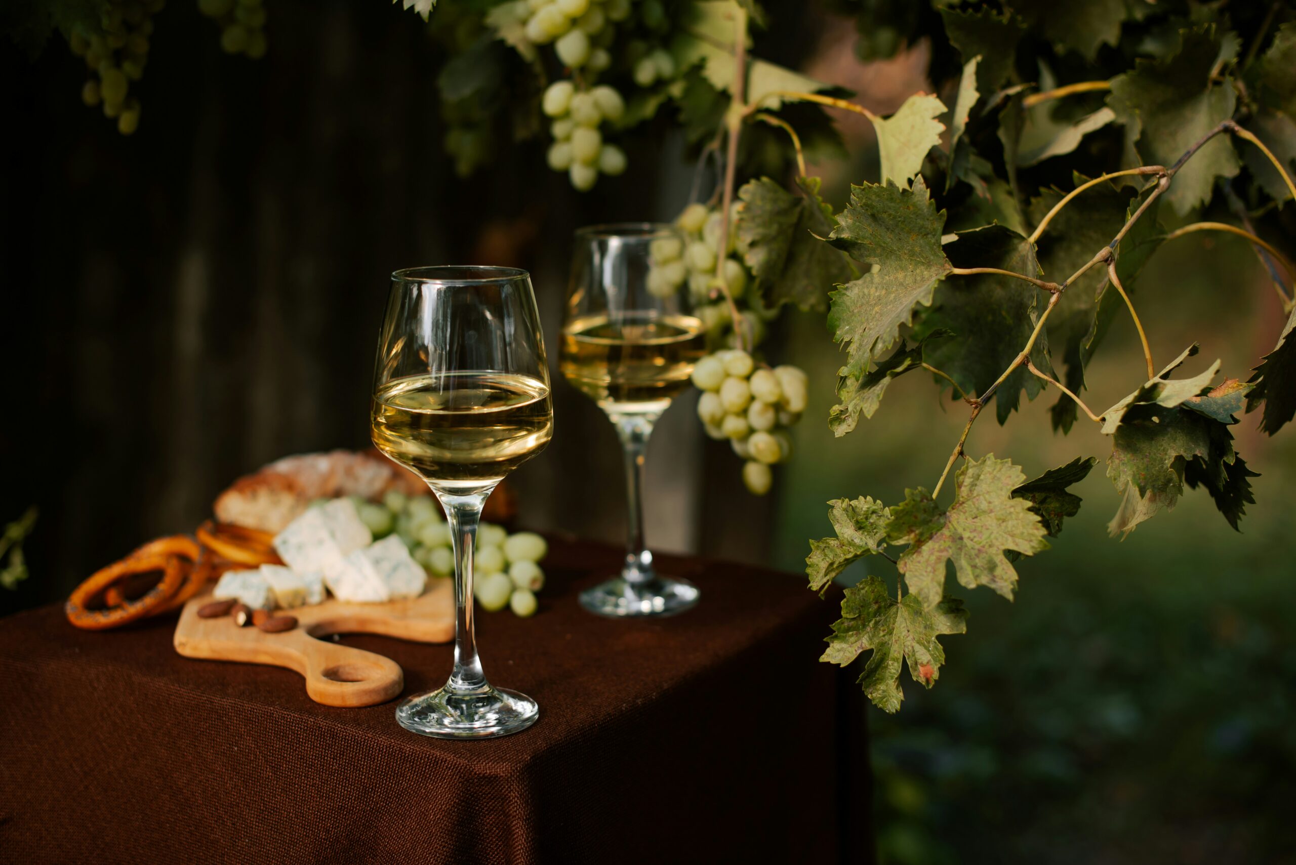 Summer cheese and wine tasting