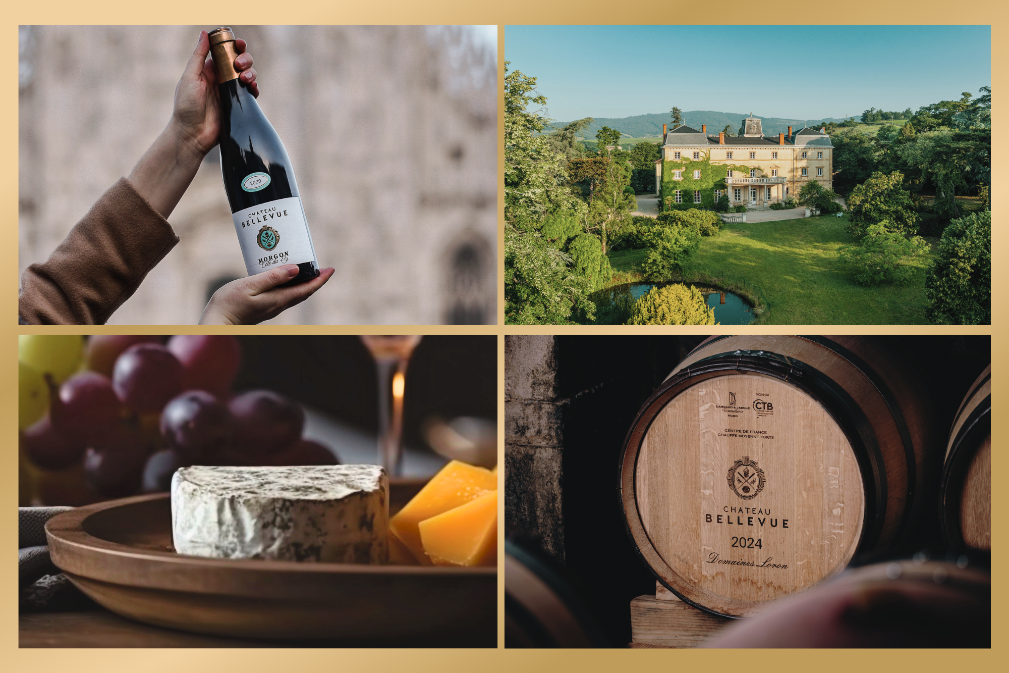 Cheese and wine tasting at ROSL