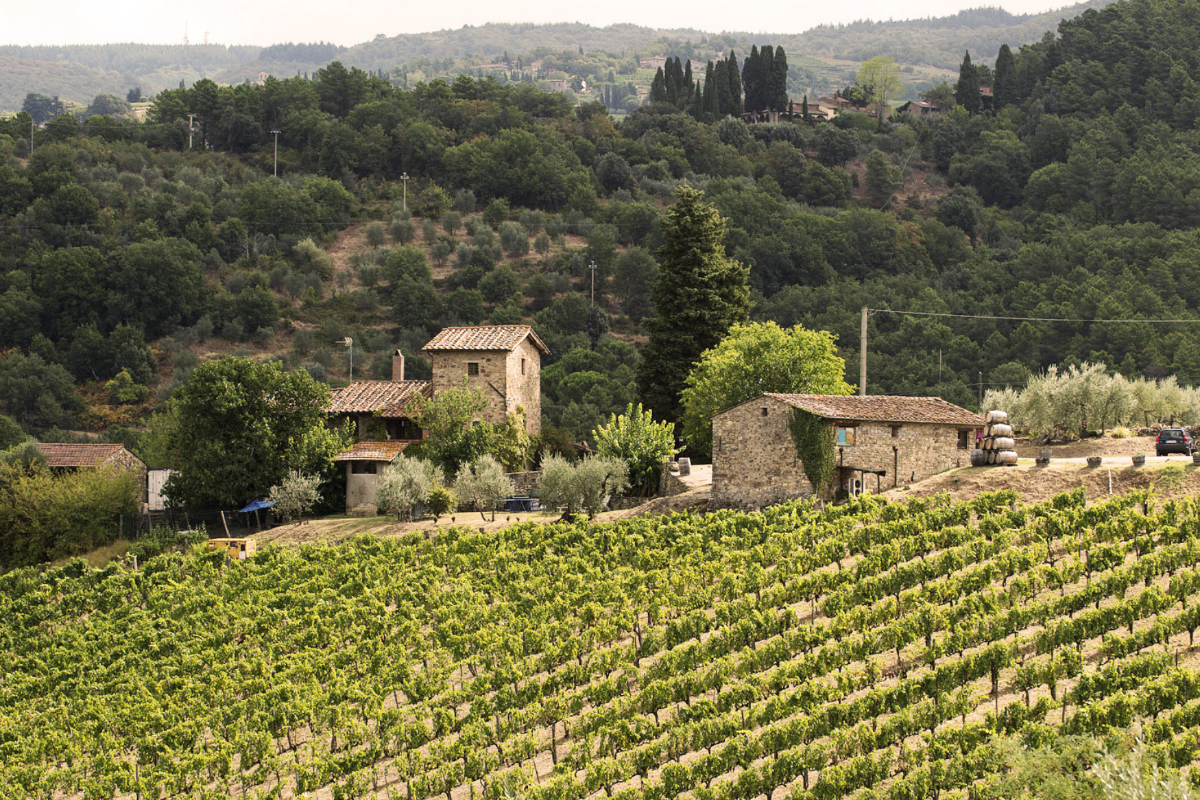truffle wine dinner